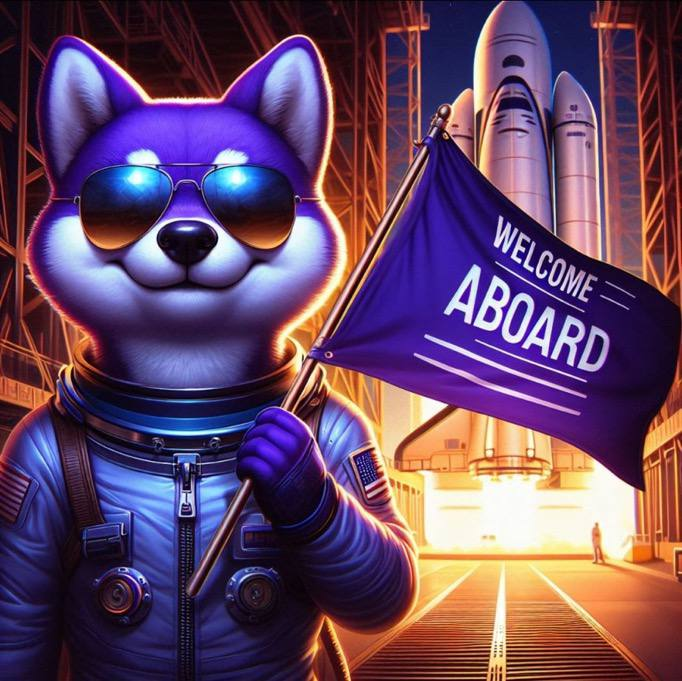 SHIBS Astronaut